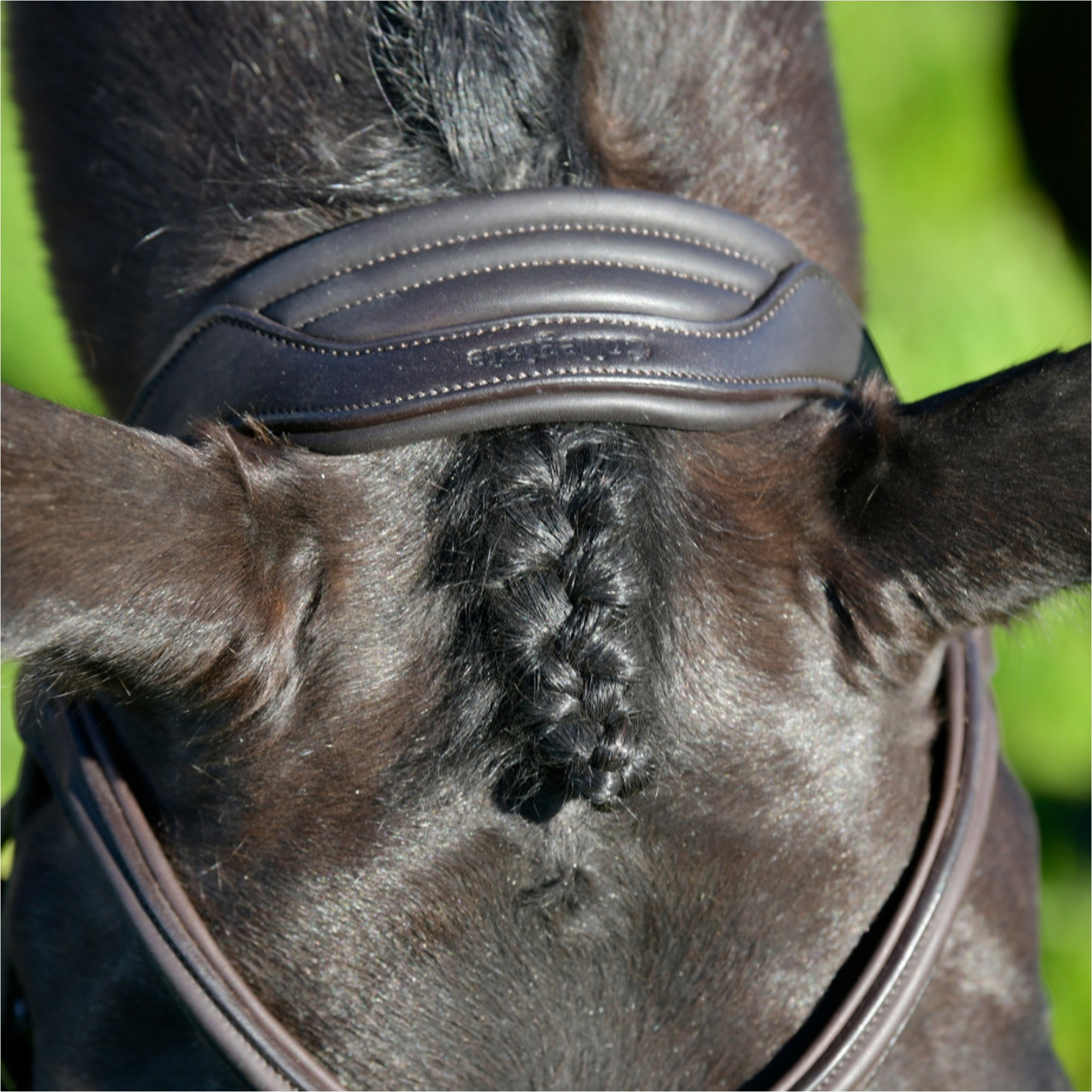 Collegiate Comfitec Opulux Plain Padded Grackle Bridle 102519500 - Dark Brown
